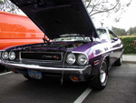 Cy and Ann's challenger