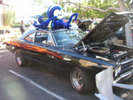 Help, there is an Octopus on my roadrunner. Hope it is not hungry?