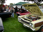 Peter's 69 Satilite