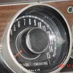 Speedo
