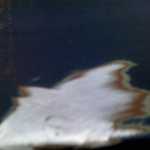 IMG 0220