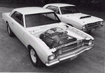 white hemi darts