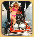 bobbieh 71